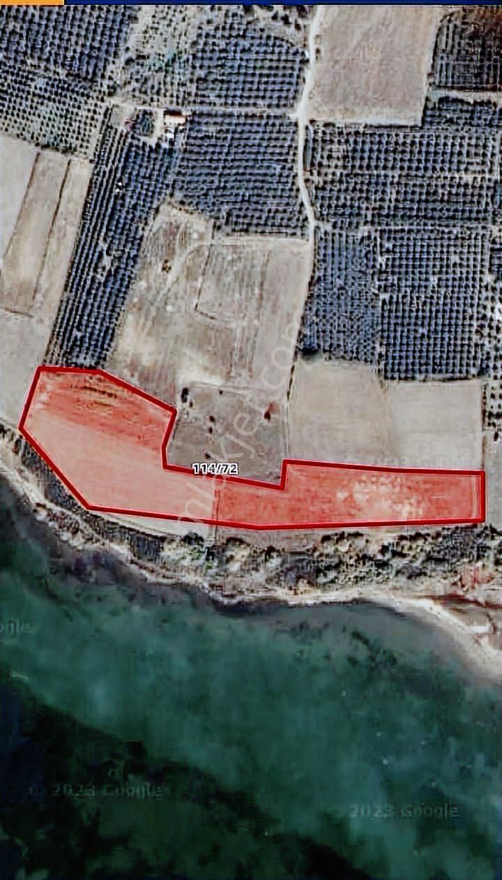 Aydın, Söke, Doğanbey'de Satılık Denize Sıfır 17.500 M2 Tarla - Görsel 3