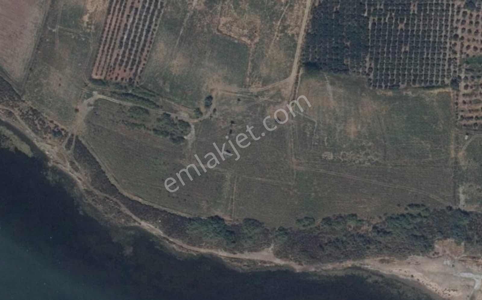 Aydın, Söke, Doğanbey'de Satılık Denize Sıfır 17.500 M2 Tarla