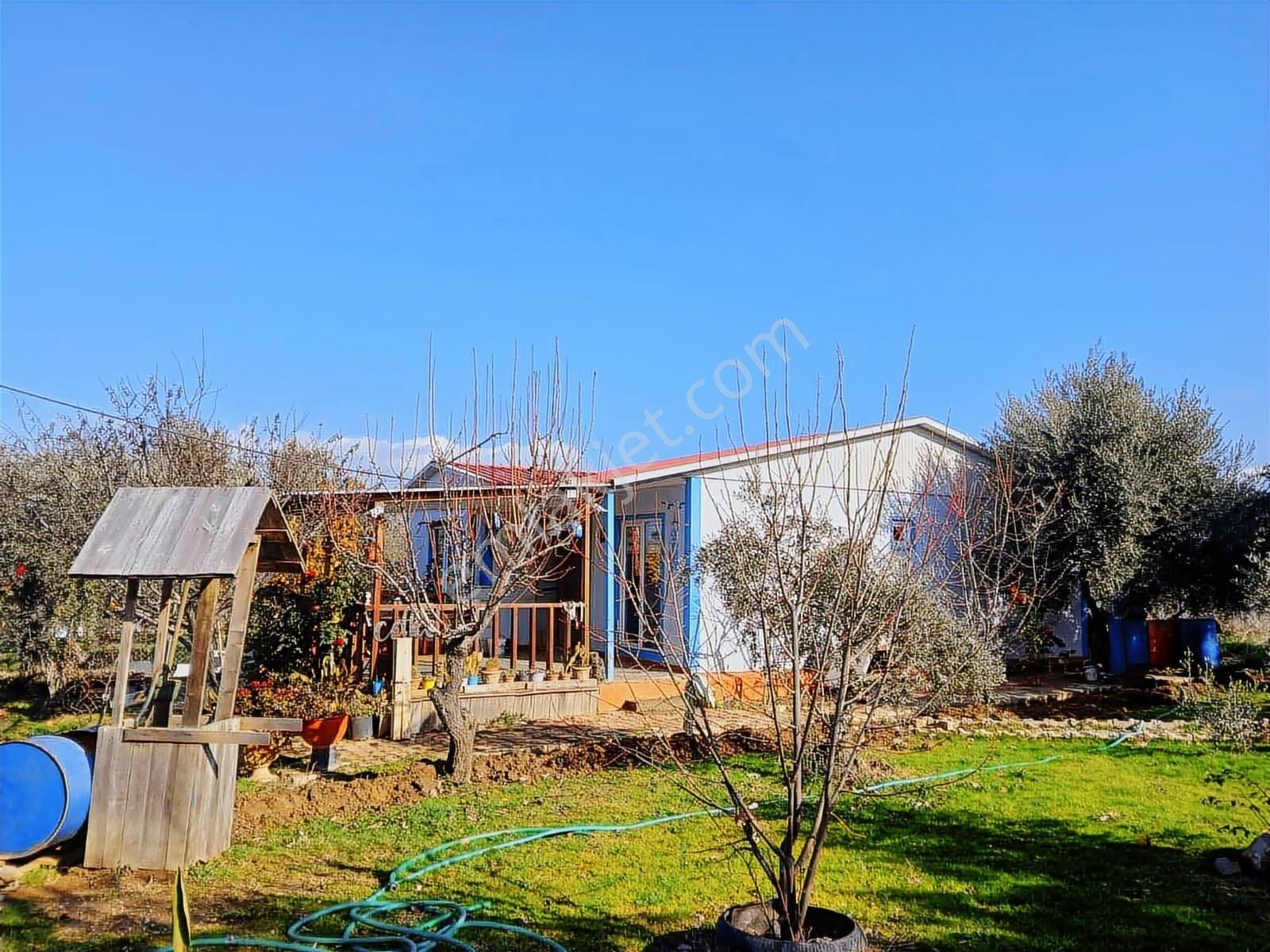 İzmir Kemalpaşa Armutlu 85 . Yıl Mahallesi Satılık Bağ.bahçe - Görsel 33