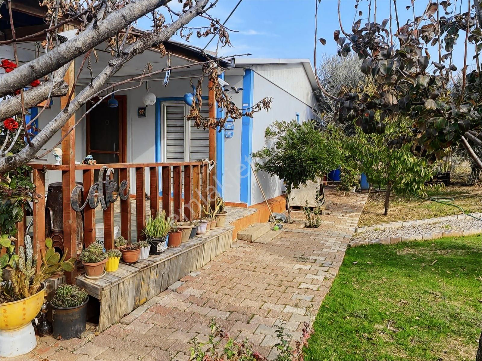 İzmir Kemalpaşa Armutlu 85 . Yıl Mahallesi Satılık Bağ.bahçe - Görsel 30