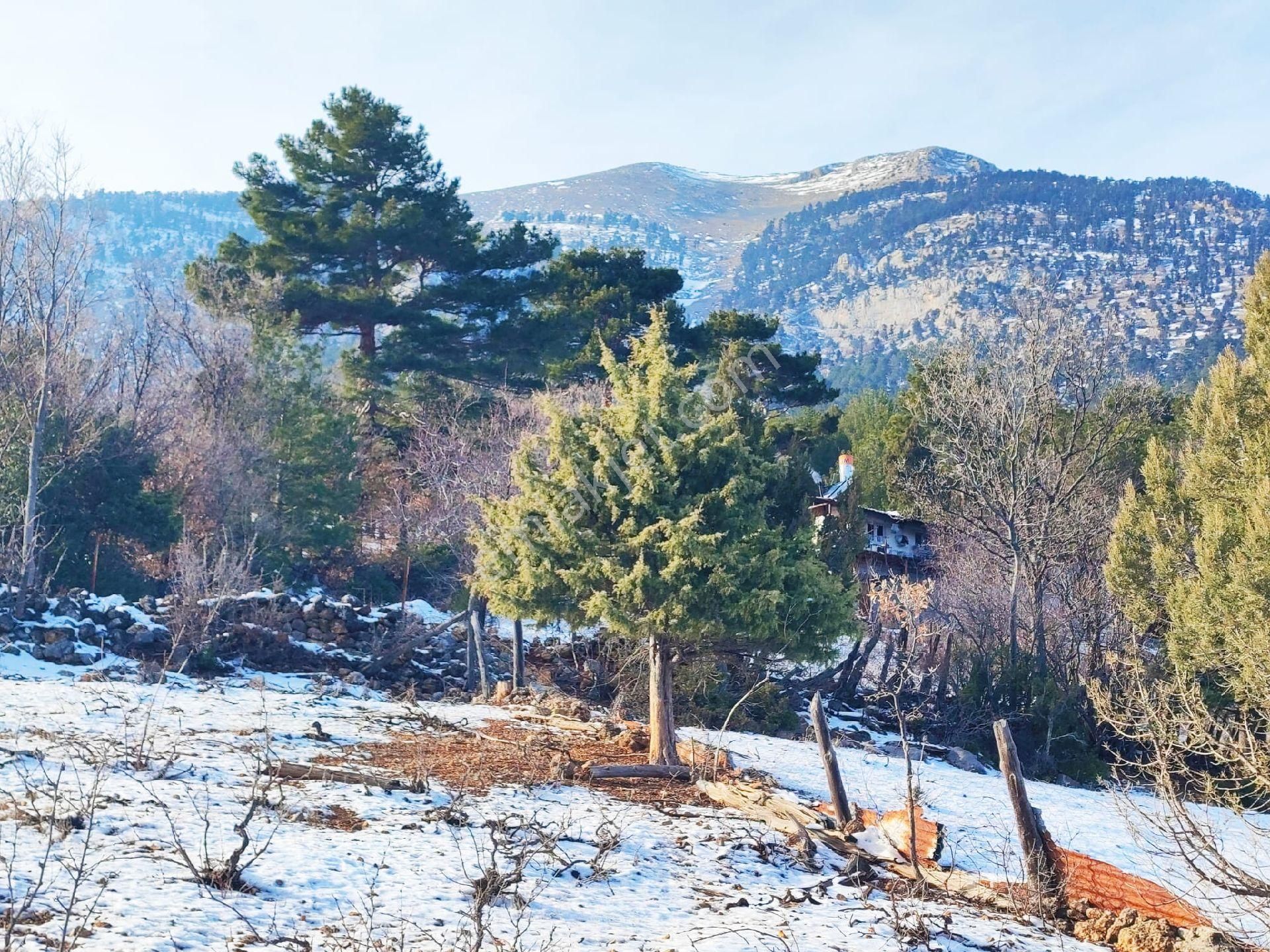 Pozantı Kar Emlak Tan Yeni Konacık Bozkırlı Mevkiinde Yaylalık 370 M2 Satılık Arsa - Görsel 21