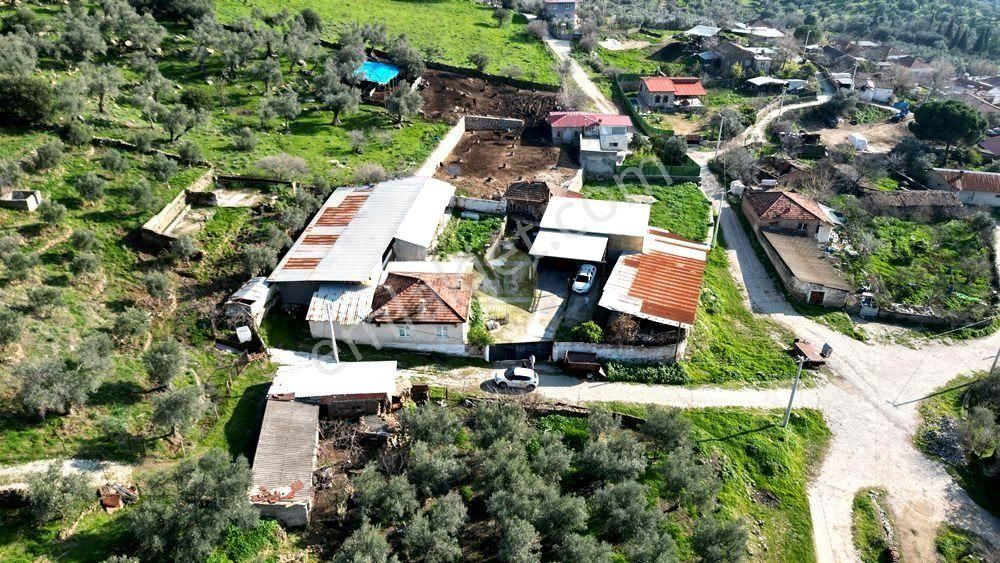 Hb'den Satılık Ruhsatlı Besihane Ve Arsası, Hallaçlar Köyünde