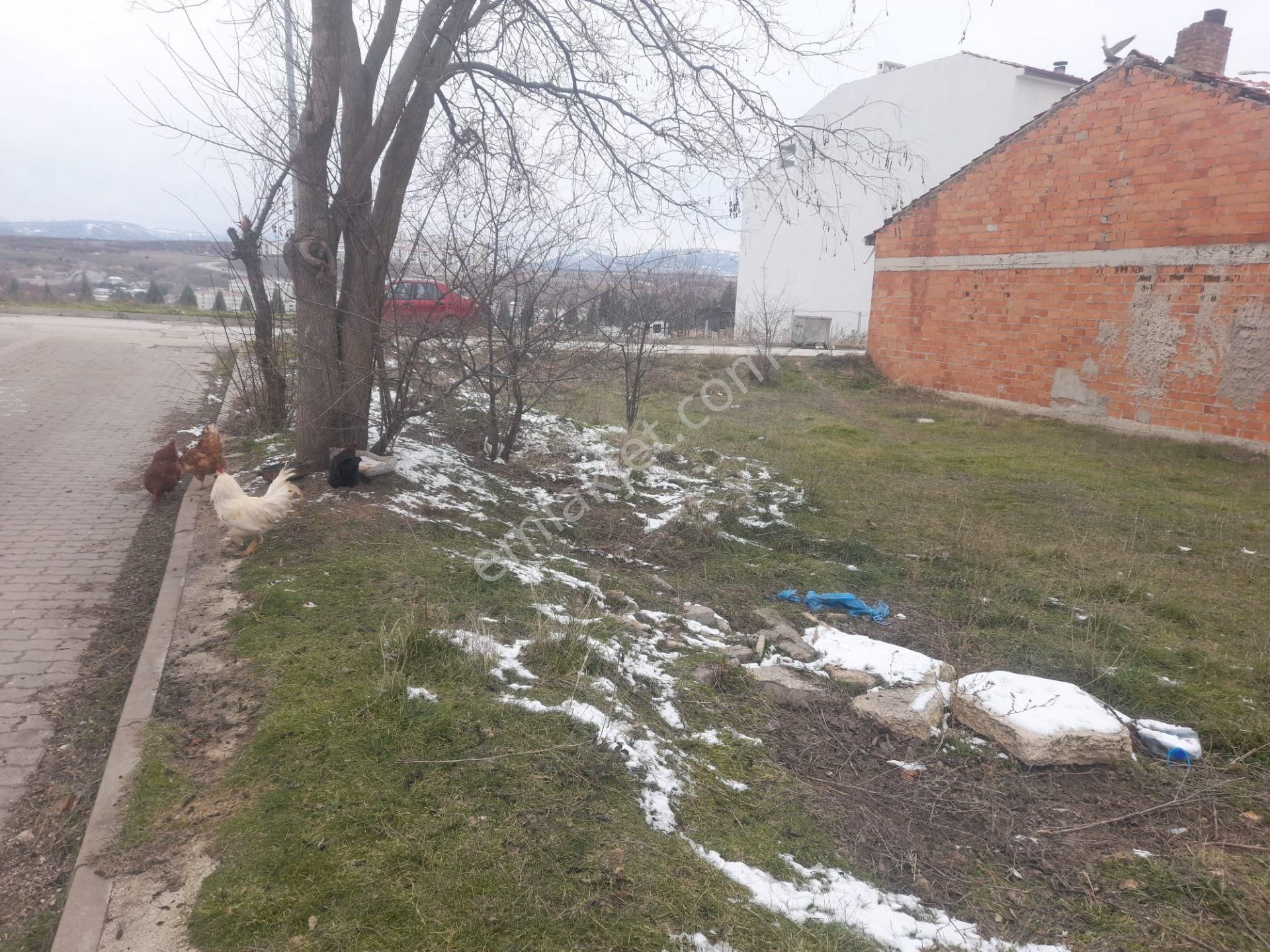 Trenday Emlak'tan Ertuğrul Caddesi Köşe Konumda 225 M2 Arsa - Görsel 7