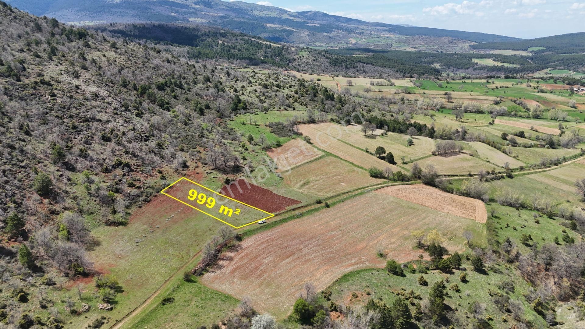 Konya / Doğanhisar / Kemer Mahallesinde 999 M² Müstakil Tapulu Tarla - Görsel 2