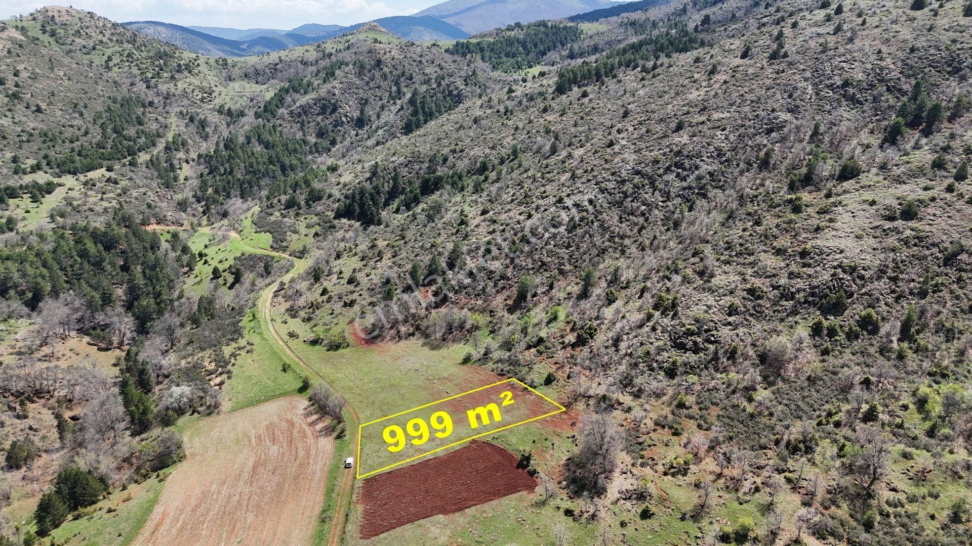 Konya / Doğanhisar / Kemer Mahallesinde 999 M² Müstakil Tapulu Tarla - Görsel 7