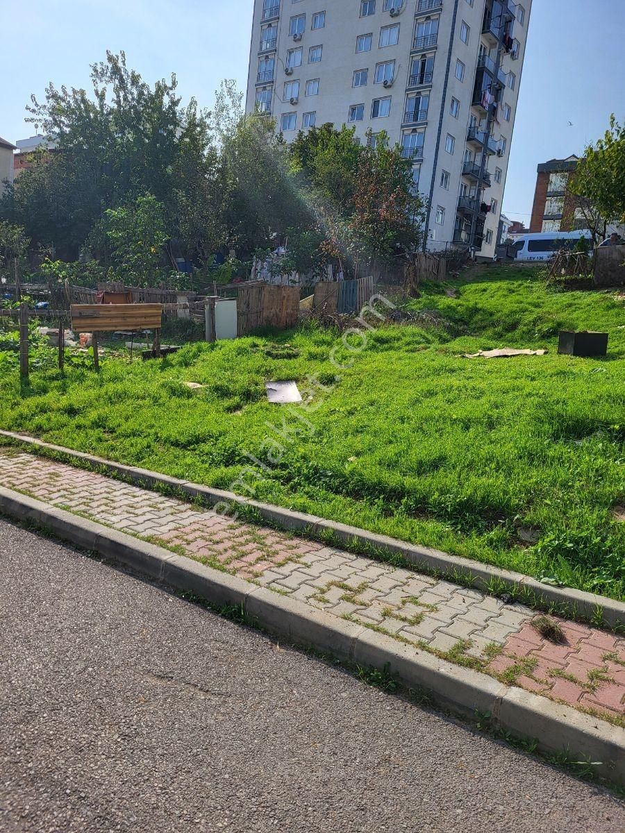 Koru Emlak'tan:fırsat 3 Daire Lik Arsa Satılıktır - Görsel 15