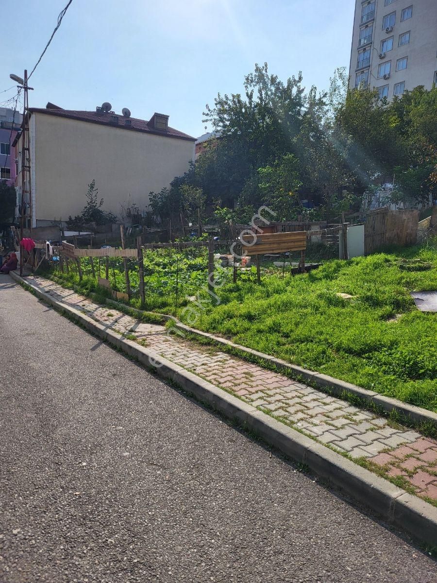 Koru Emlak'tan:fırsat 3 Daire Lik Arsa Satılıktır - Görsel 33