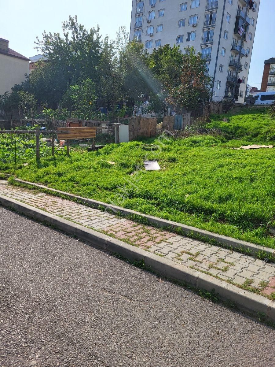 Koru Emlak'tan:fırsat 3 Daire Lik Arsa Satılıktır - Görsel 10