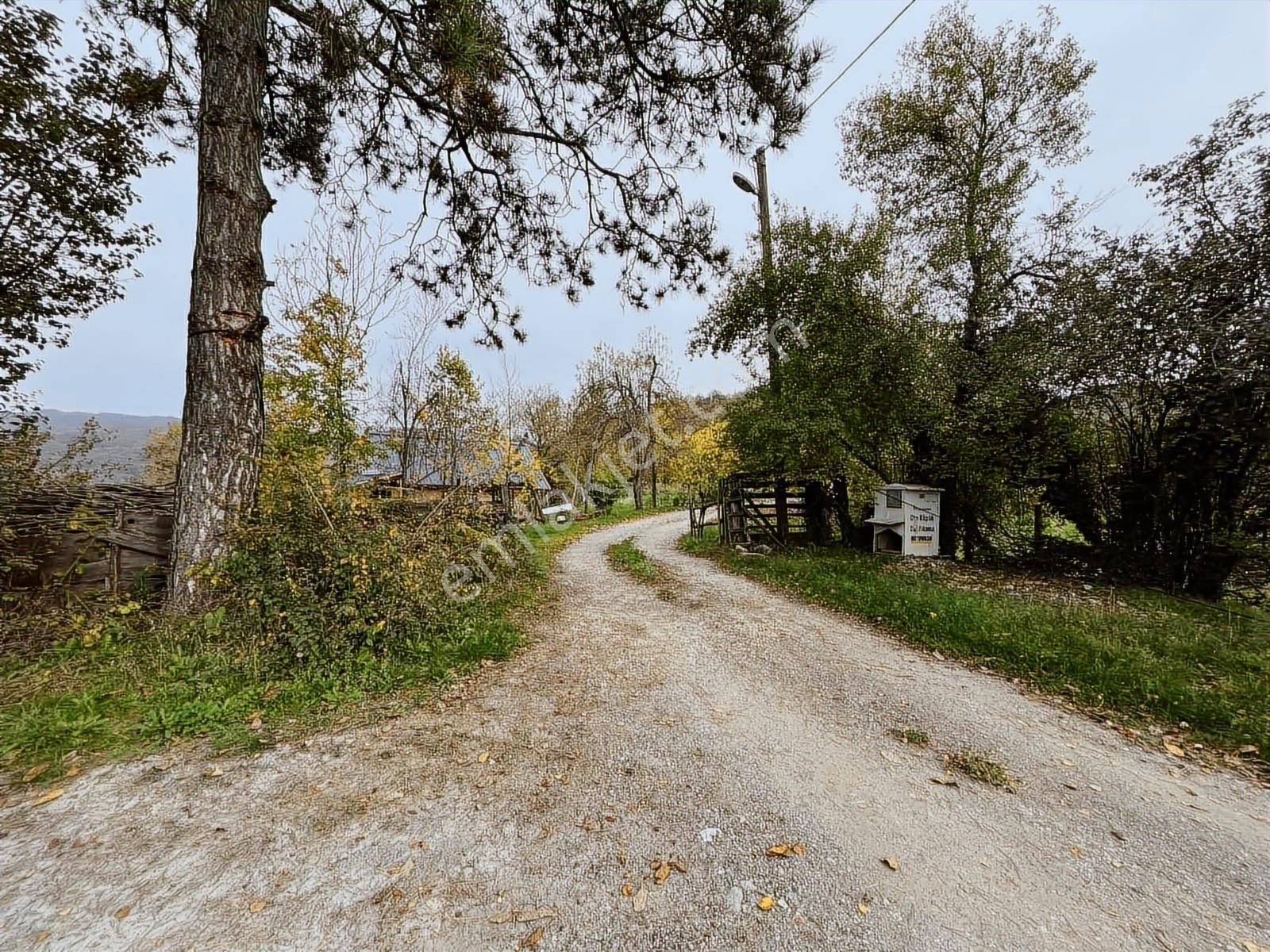 Ruşen Aydın Gyd'dan Kaynaşlı D.y.hasanbey Köyünde Satılık Arazi - Görsel 2