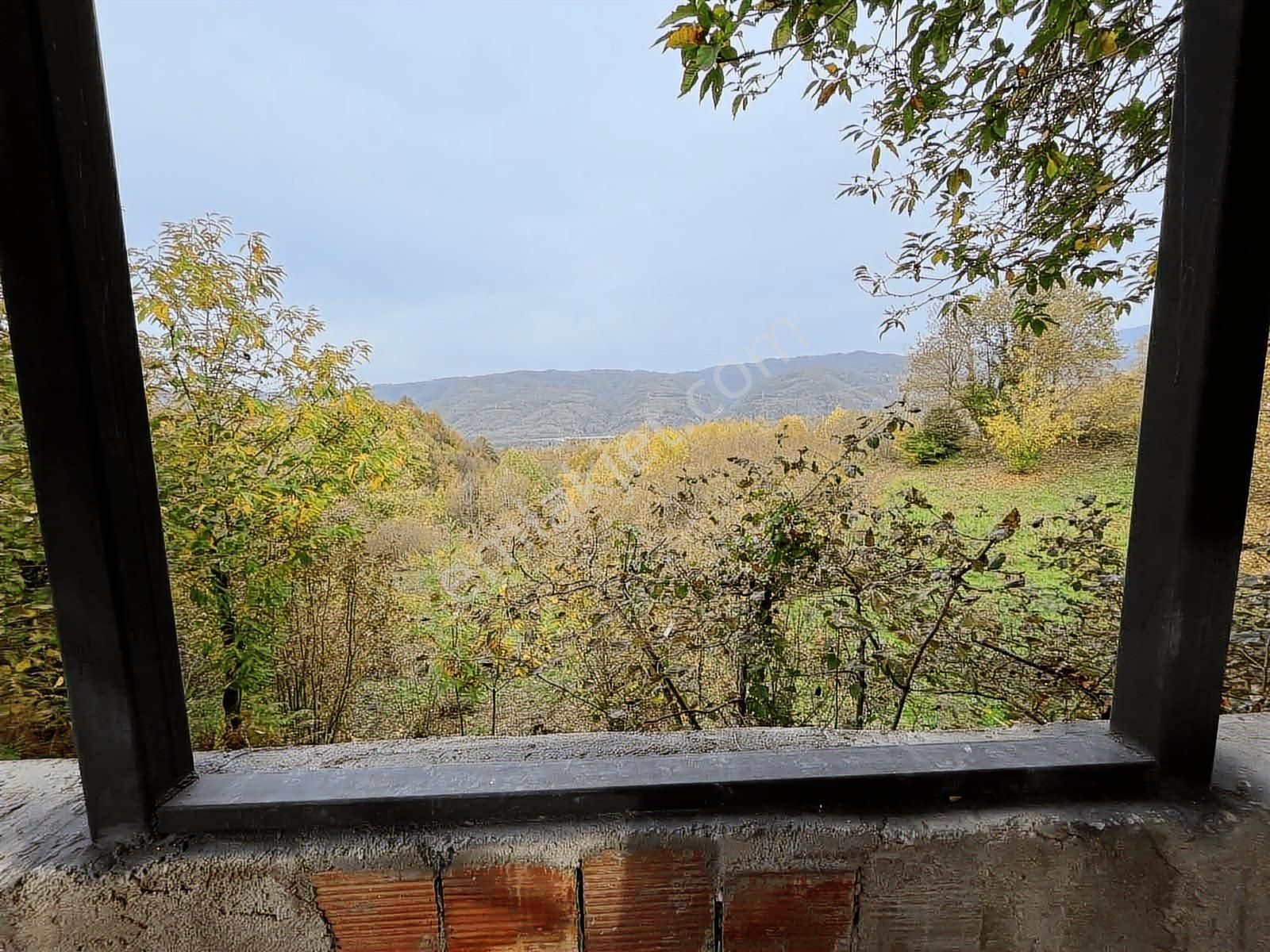 Ruşen Aydın Gyd'dan Kaynaşlı D.y.hasanbey Köyünde Satılık Arazi - Görsel 21