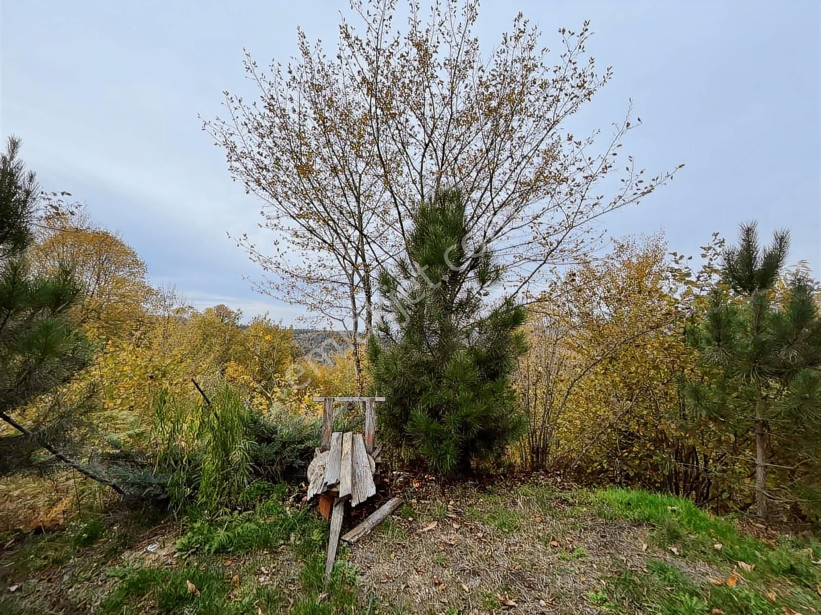 Ruşen Aydın Gyd'dan Kaynaşlı D.y.hasanbey Köyünde Satılık Arazi - Görsel 18