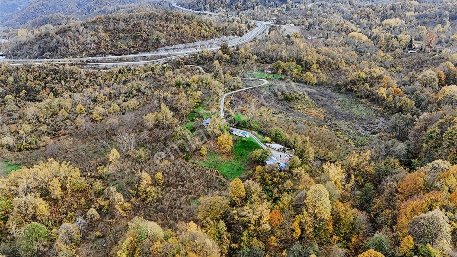 Ruşen Aydın Gyd'dan Kaynaşlı D.y.hasanbey Köyünde Satılık Arazi - Görsel 9