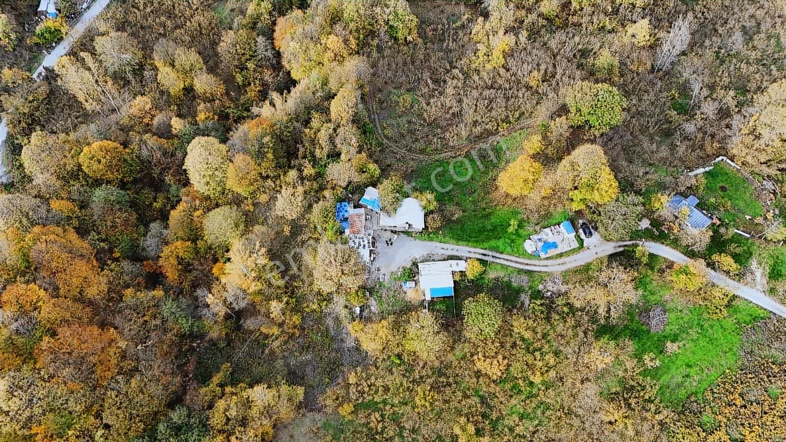 Ruşen Aydın Gyd'dan Kaynaşlı D.y.hasanbey Köyünde Satılık Arazi - Görsel 3