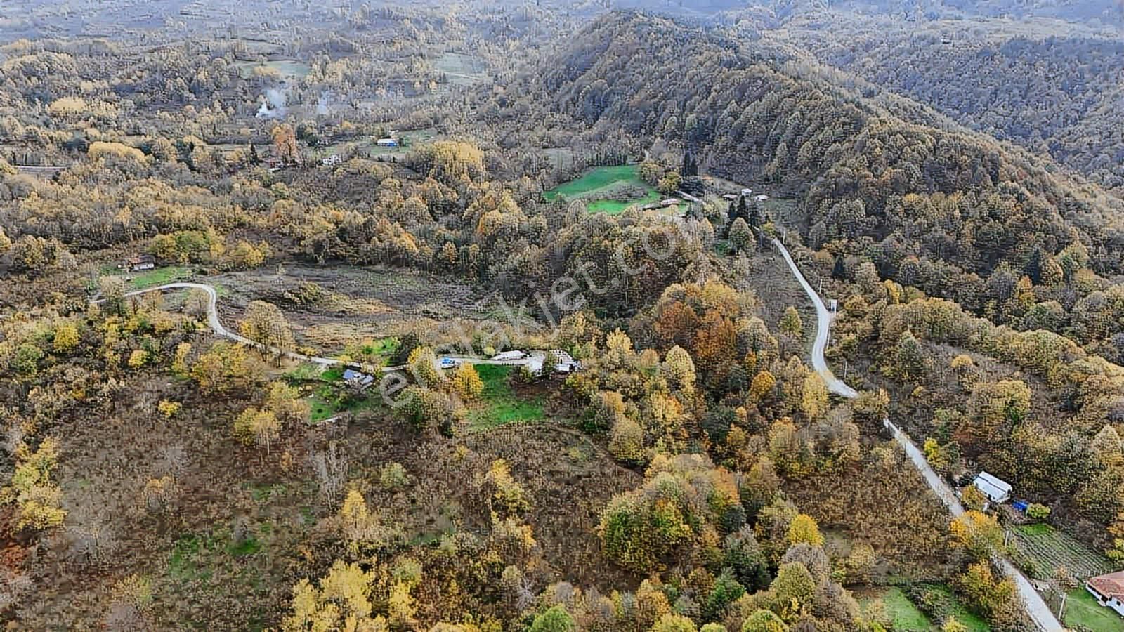 Ruşen Aydın Gyd'dan Kaynaşlı D.y.hasanbey Köyünde Satılık Arazi - Görsel 7