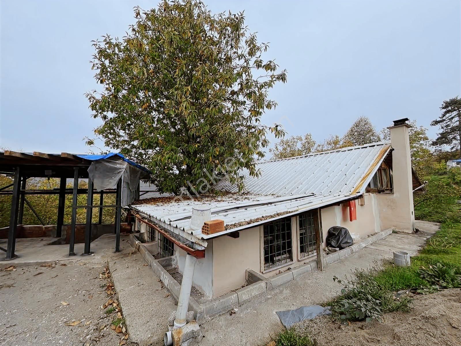 Ruşen Aydın Gyd'dan Kaynaşlı D.y.hasanbey Köyünde Satılık Arazi - Görsel 16