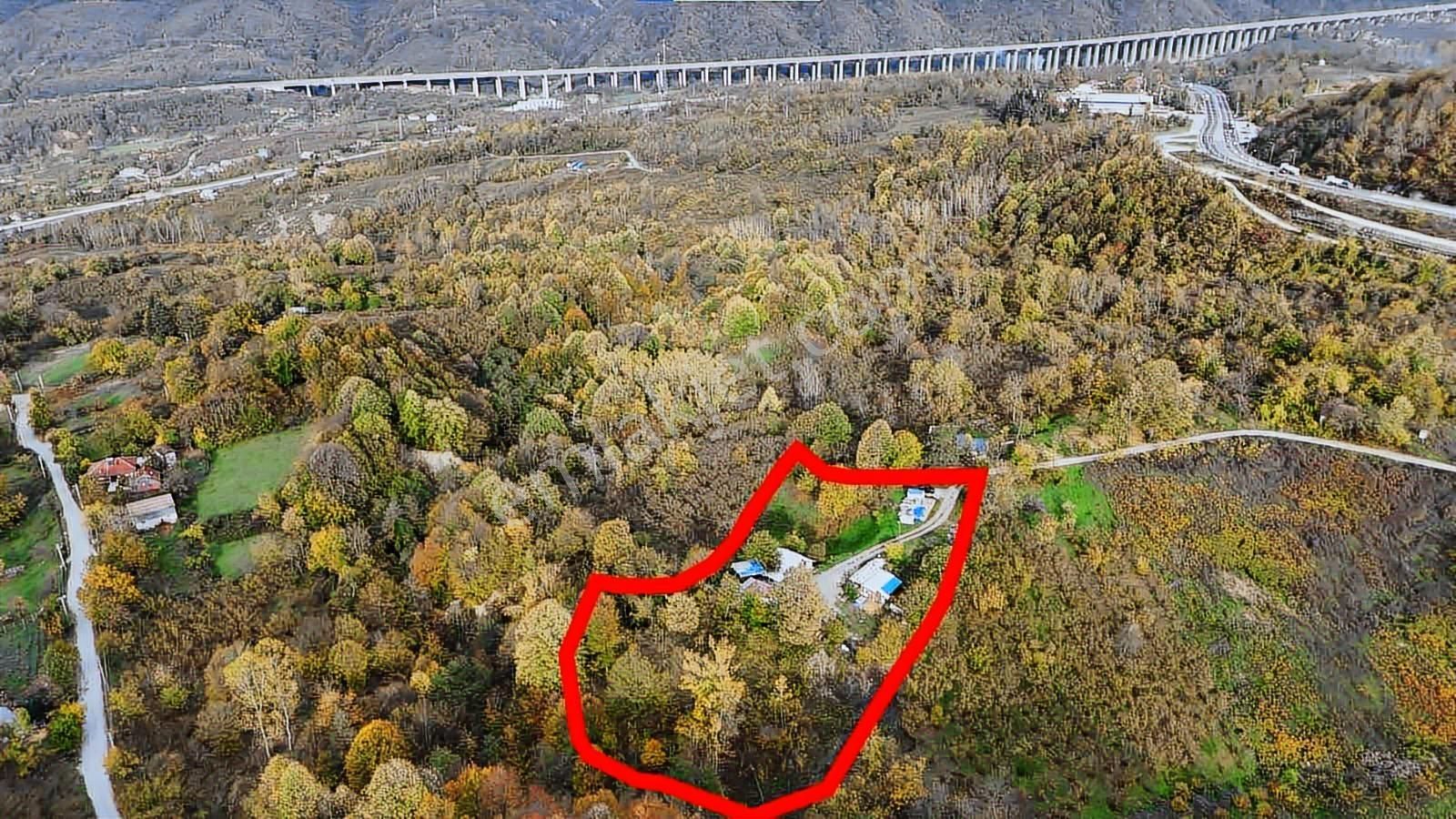 Ruşen Aydın Gyd'dan Kaynaşlı D.y.hasanbey Köyünde Satılık Arazi - Görsel 29