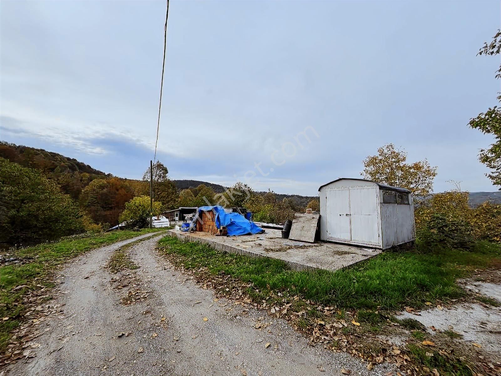 Ruşen Aydın Gyd'dan Kaynaşlı D.y.hasanbey Köyünde Satılık Arazi - Görsel 27