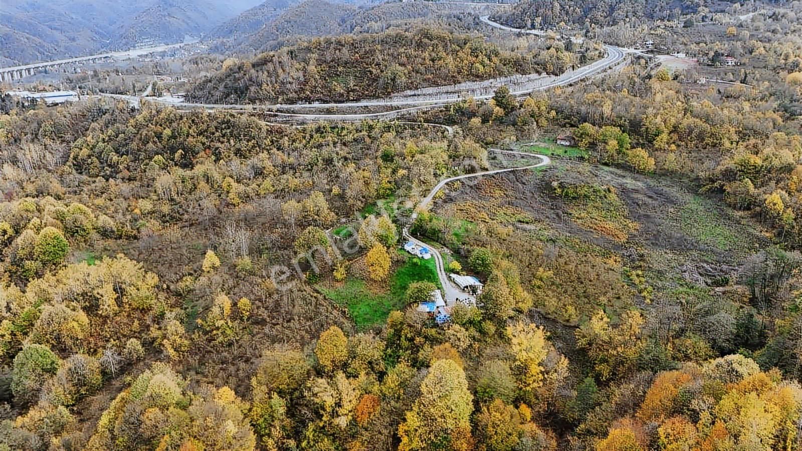 Ruşen Aydın Gyd'dan Kaynaşlı D.y.hasanbey Köyünde Satılık Arazi - Görsel 10