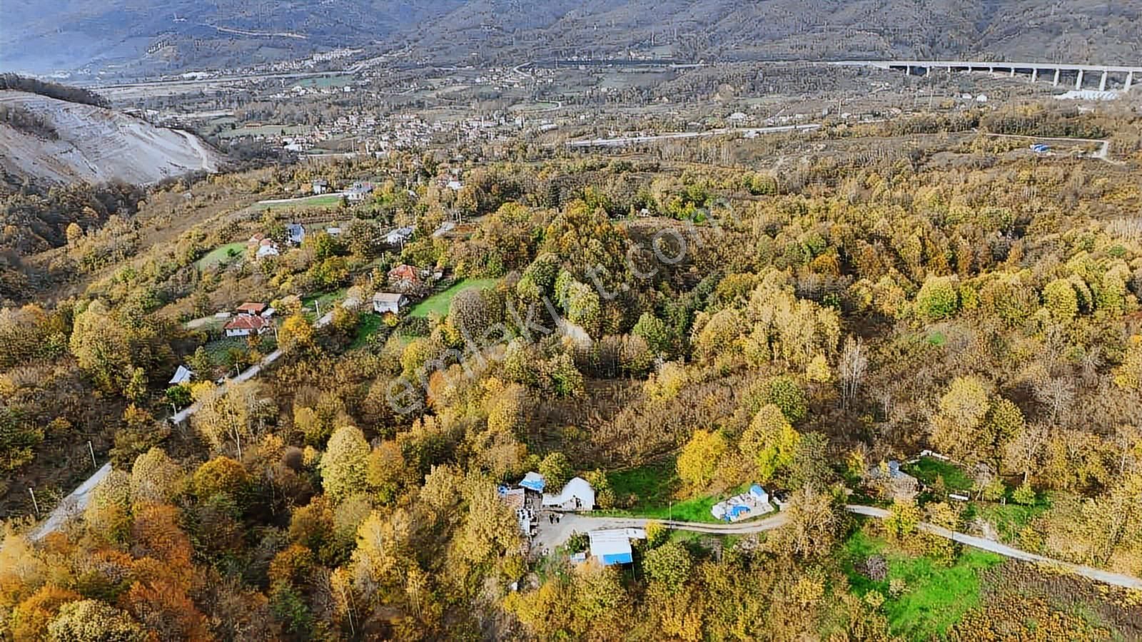 Ruşen Aydın Gyd'dan Kaynaşlı D.y.hasanbey Köyünde Satılık Arazi - Görsel 23