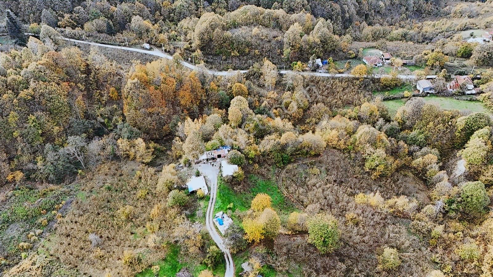 Ruşen Aydın Gyd'dan Kaynaşlı D.y.hasanbey Köyünde Satılık Arazi - Görsel 13