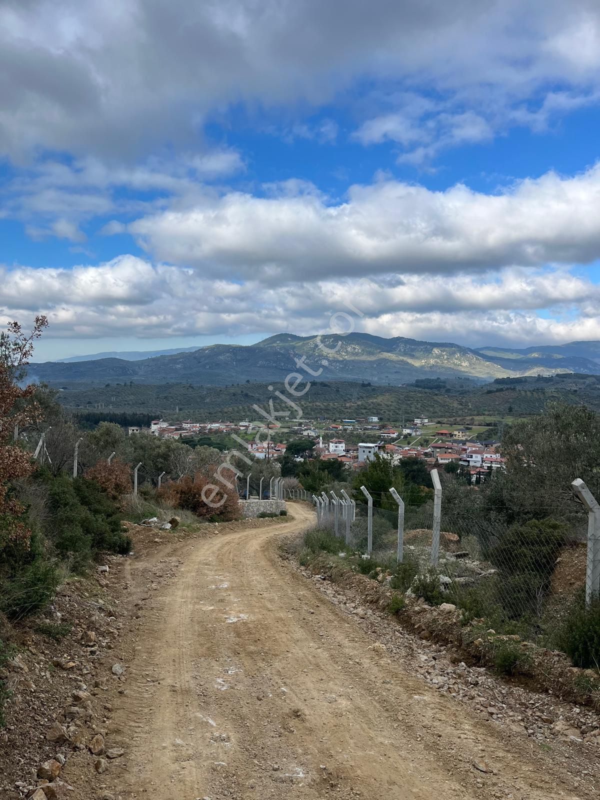 Edremit’te 3 Parsel Satılık Zeytinlik - Görsel 18