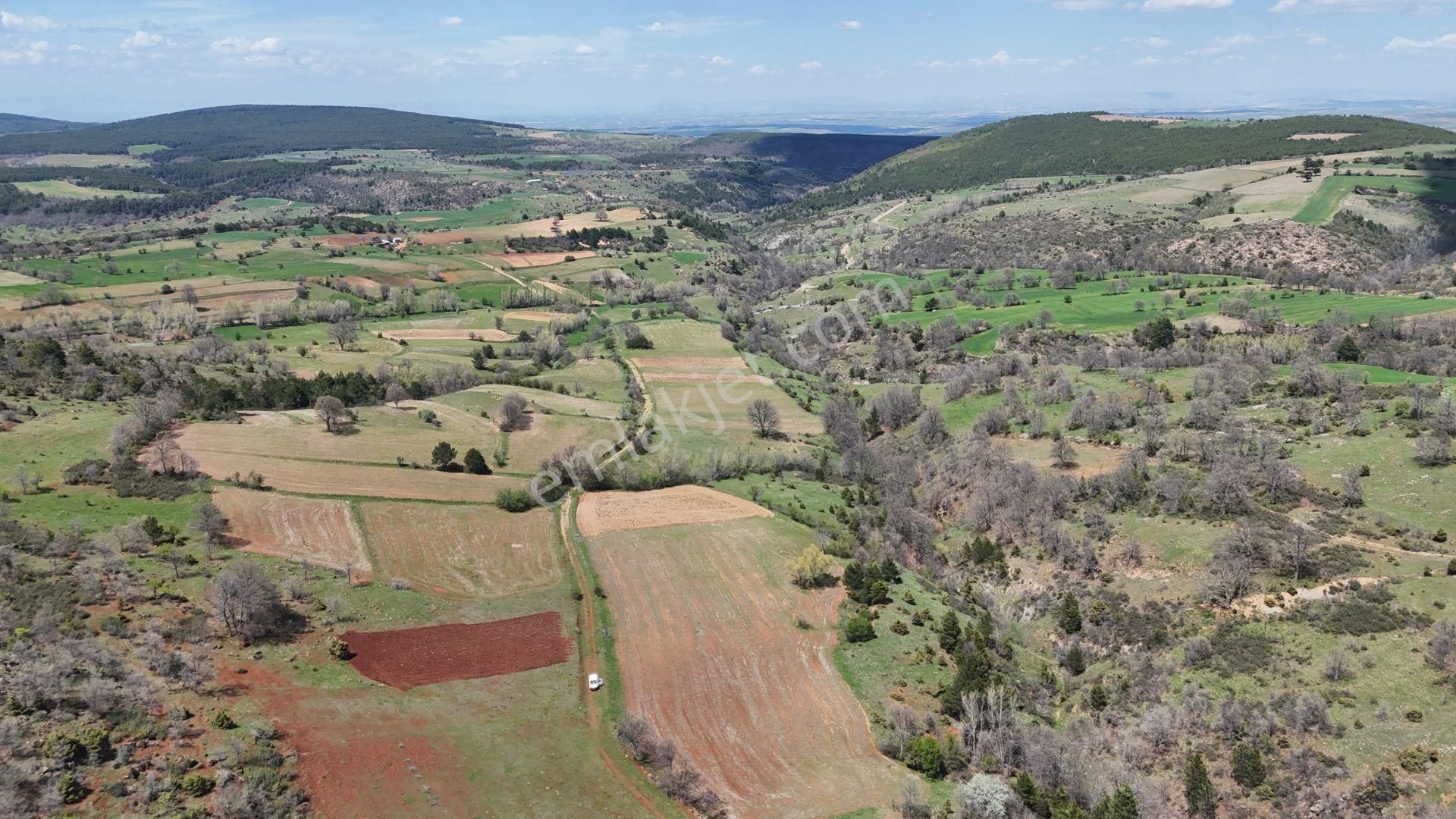 Konya / Doğanhisar / Kemer Mahallesinde 3.660 M² Müstakil Tapulu Tarla - Görsel 4