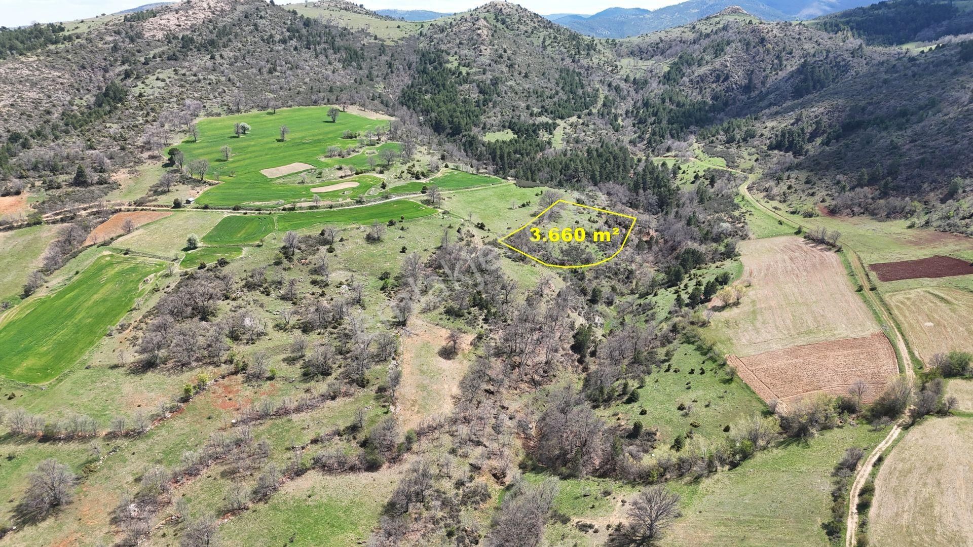 Konya / Doğanhisar / Kemer Mahallesinde 3.660 M² Müstakil Tapulu Tarla - Görsel 6