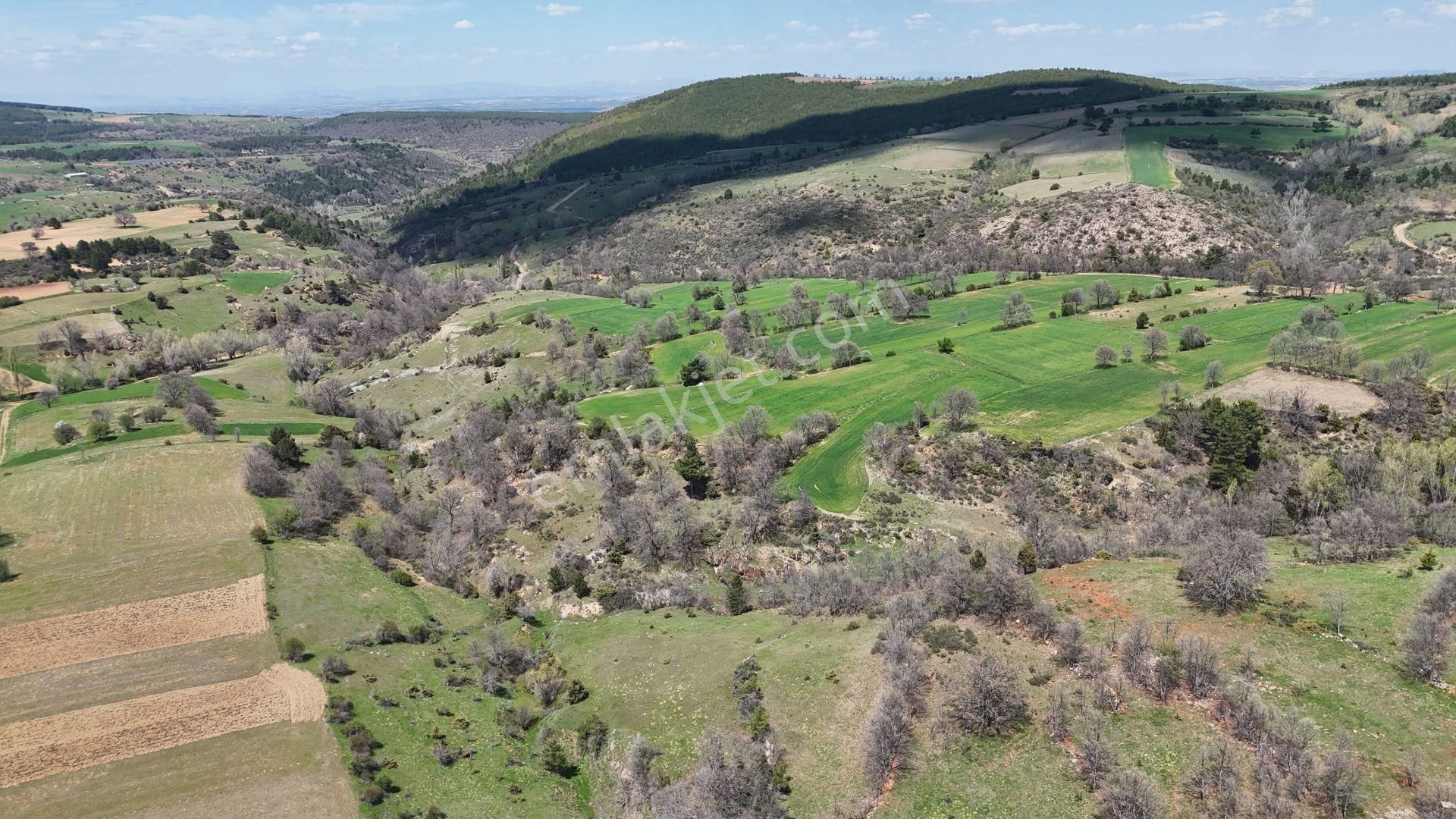 Konya / Doğanhisar / Kemer Mahallesinde 3.660 M² Müstakil Tapulu Tarla - Görsel 2