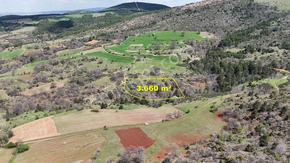 Konya / Doğanhisar / Kemer Mahallesinde 3.660 M² Müstakil Tapulu Tarla - Görsel 8