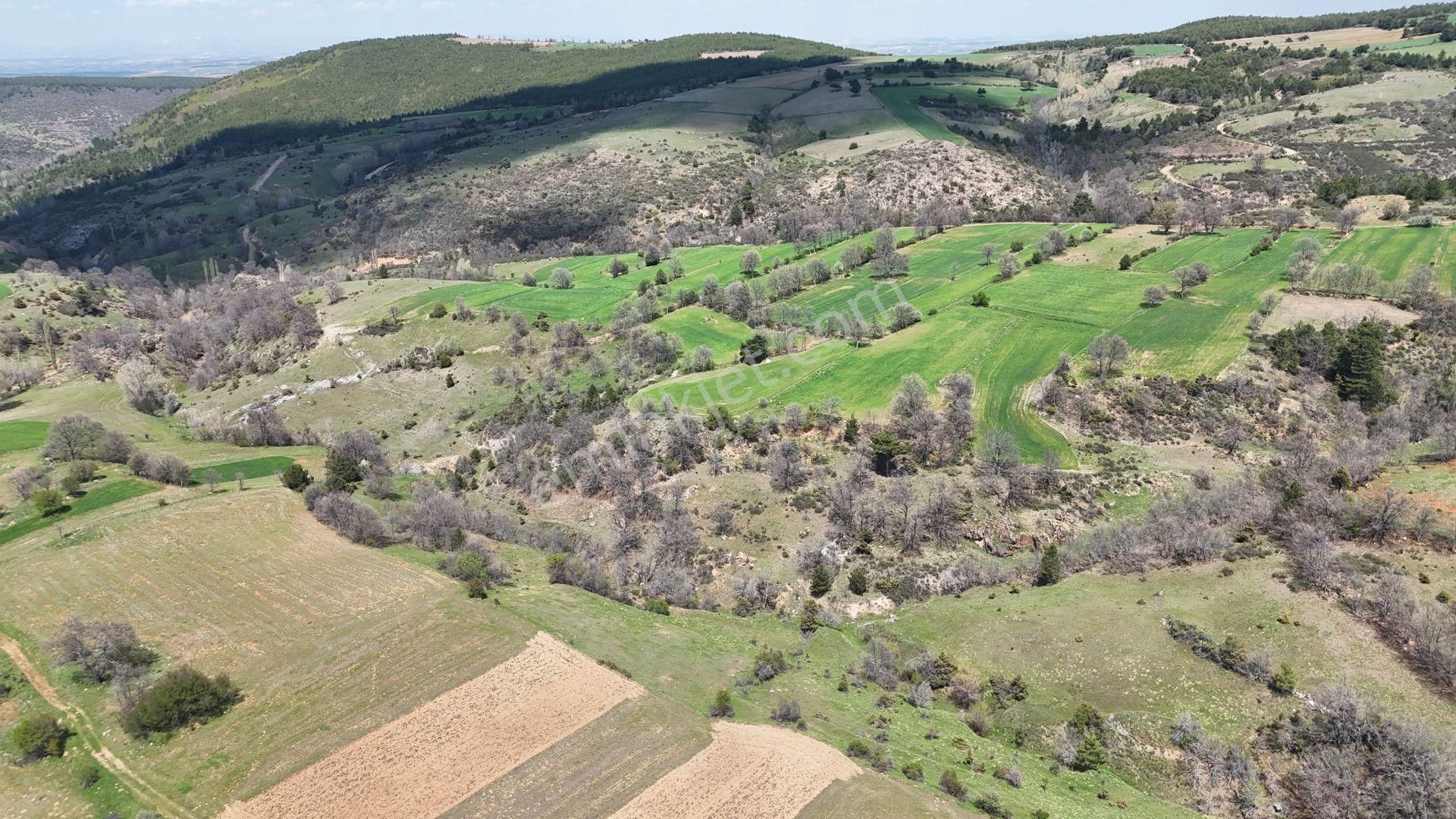 Konya / Doğanhisar / Kemer Mahallesinde 3.660 M² Müstakil Tapulu Tarla - Görsel 5