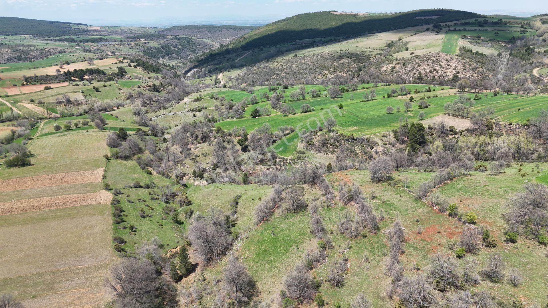 Konya / Doğanhisar / Kemer Mahallesinde 3.660 M² Müstakil Tapulu Tarla - Görsel 7