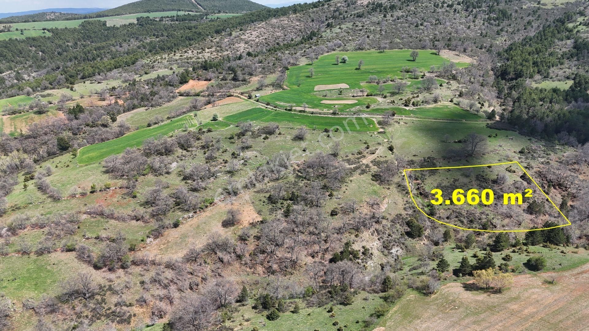 Konya / Doğanhisar / Kemer Mahallesinde 3.660 M² Müstakil Tapulu Tarla