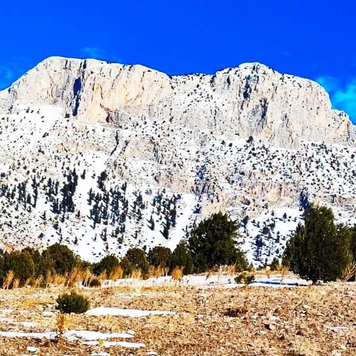 Kar Emlaktan Aşçıbekirli Fenese Mevkiinde 400 M2 Satılık Arsa - Görsel 14