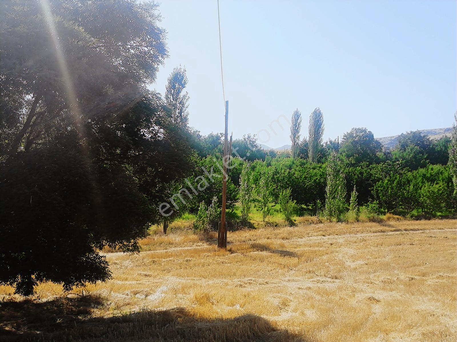 Toros Emlak'tan Satılık E 90 Yoluna Sıfır 10,750 M2 Sulu Tarla - Görsel 16