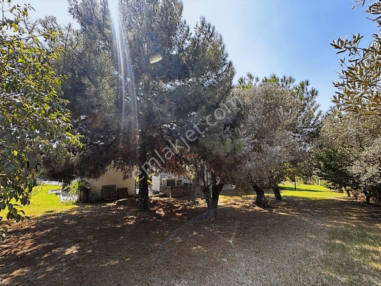 Urla'da Büyük Fırsat !! Muhteşem Villa - Görsel 25