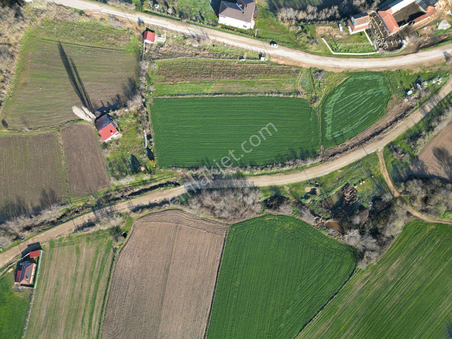 B&u Gayrimenkul'den Kavakdere Köyünde 2.604m2 Arsa - Görsel 21