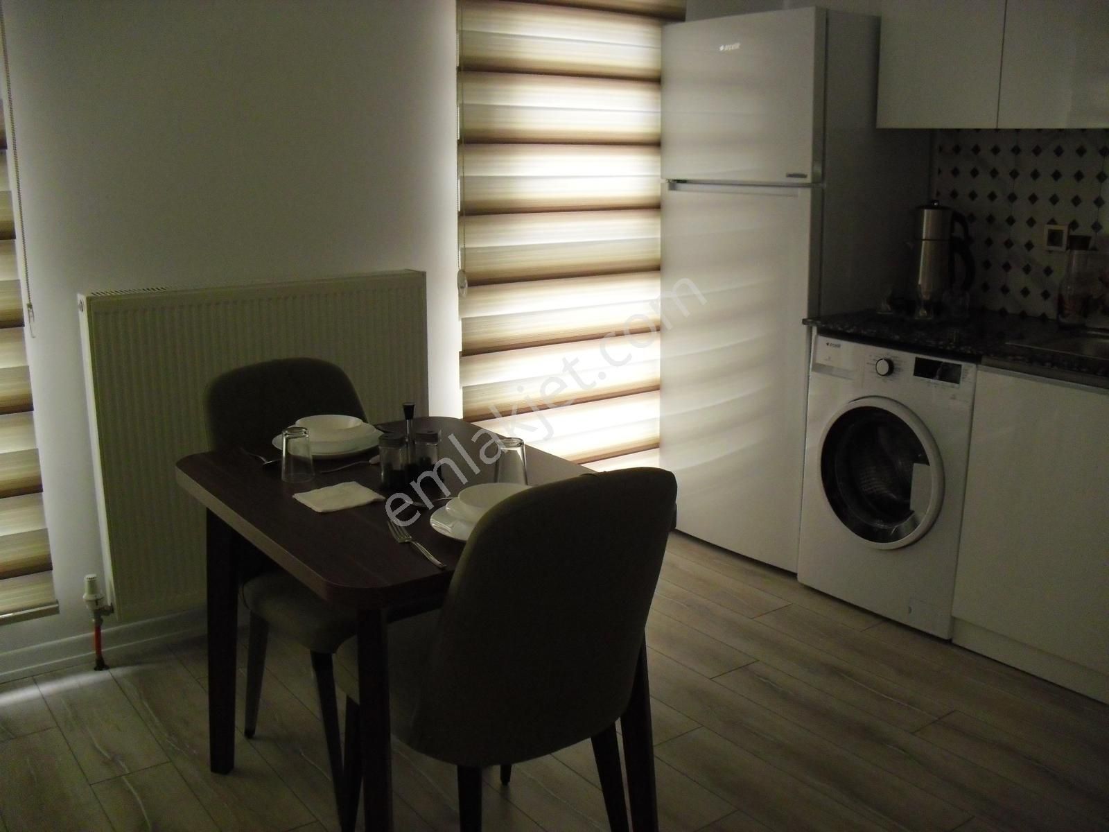 Gaziosmanpaşa Reşitgalip'de 1+1 Lüx Mobilyalı Kiralık Daire - Görsel 2