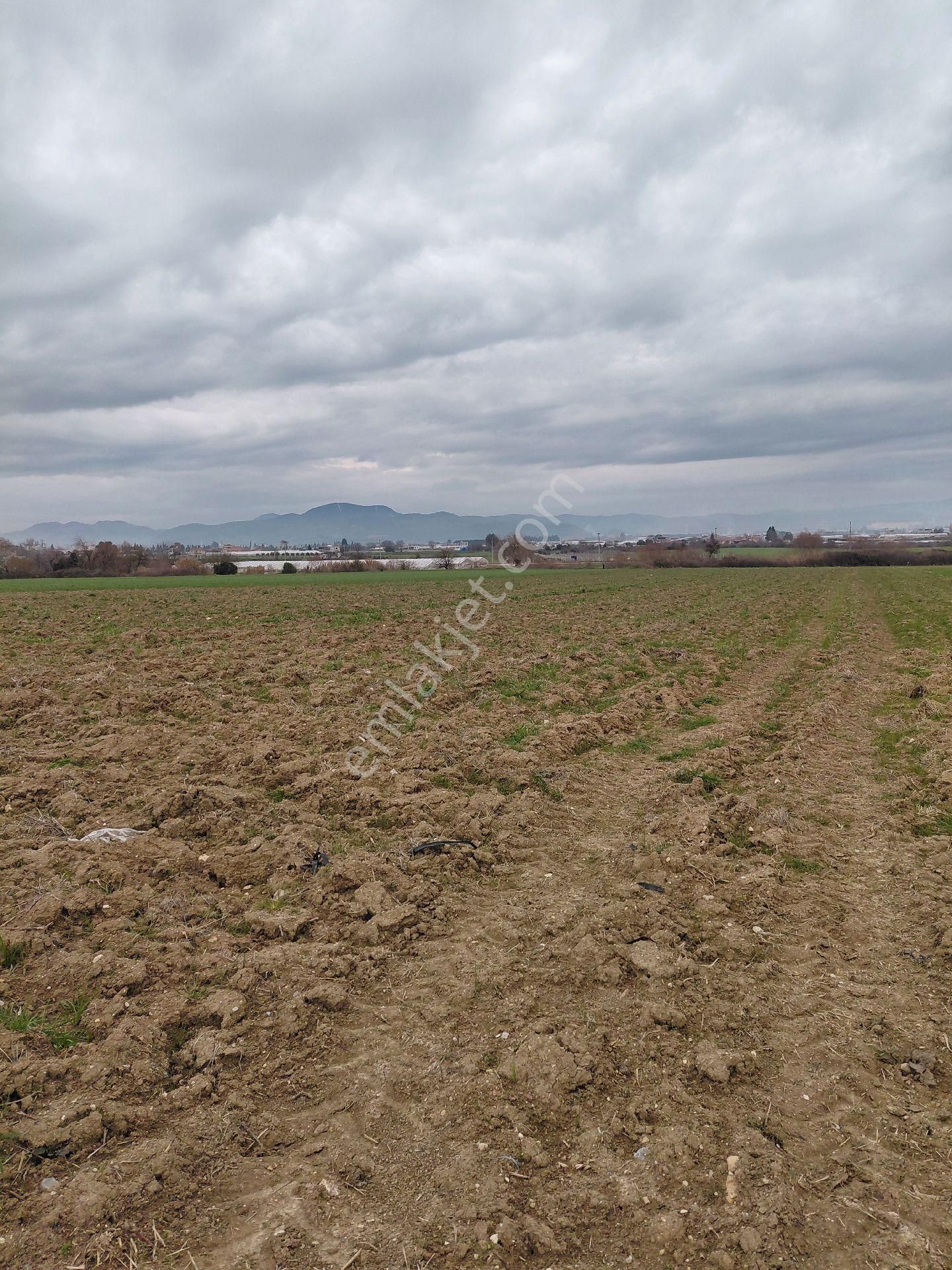 Menderes Develi Köyü Satılık Tarla - Görsel 6