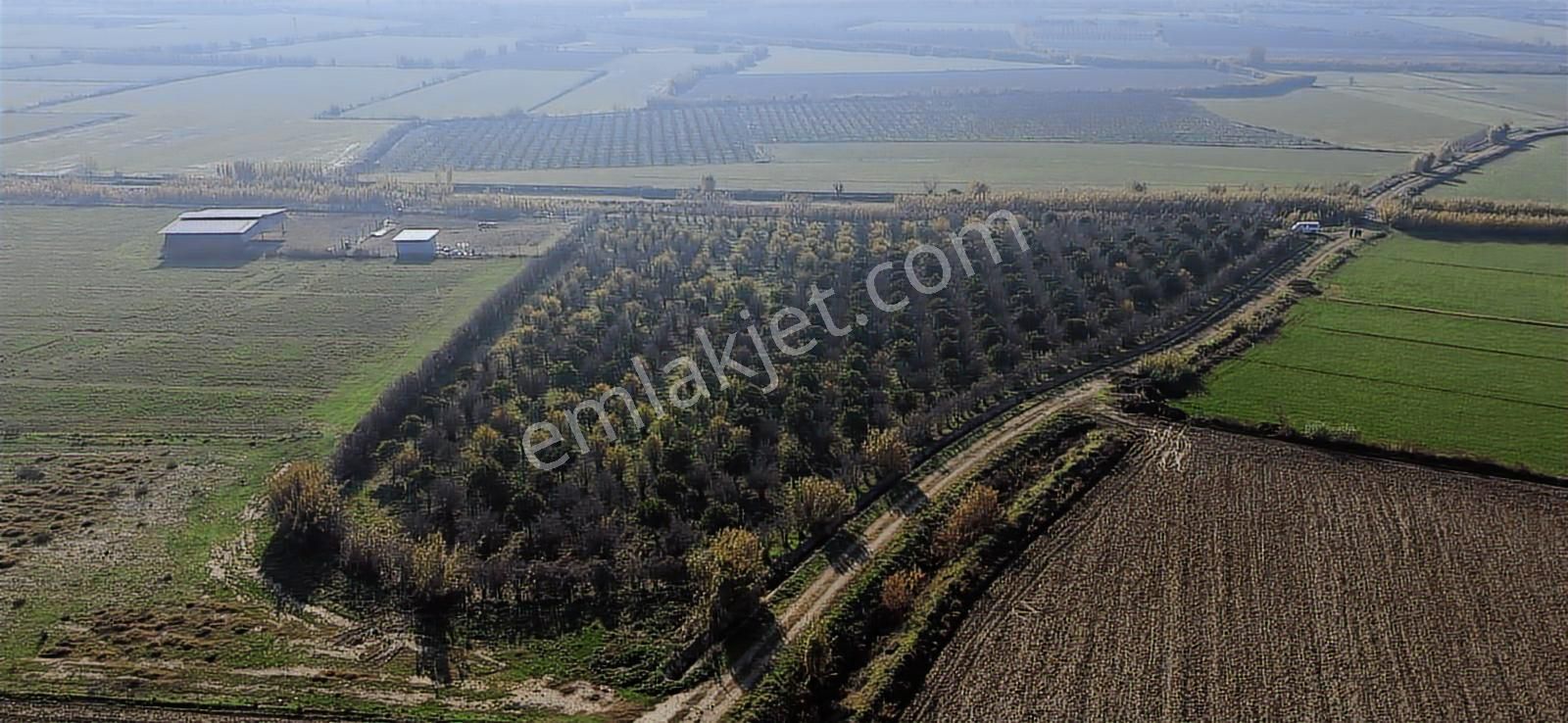 Şentürk Gayrimenkul | 10.984 M² Portakal Ve Nar Bahçesi | - Görsel 2