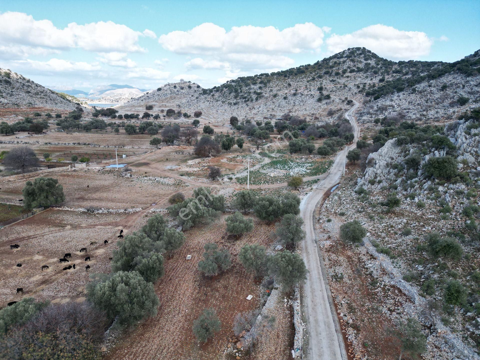 Joker: Marmaris Taşlıca Serçe Limanı'na 1 Dakika Yakınlıkta Satılık - Görsel 9