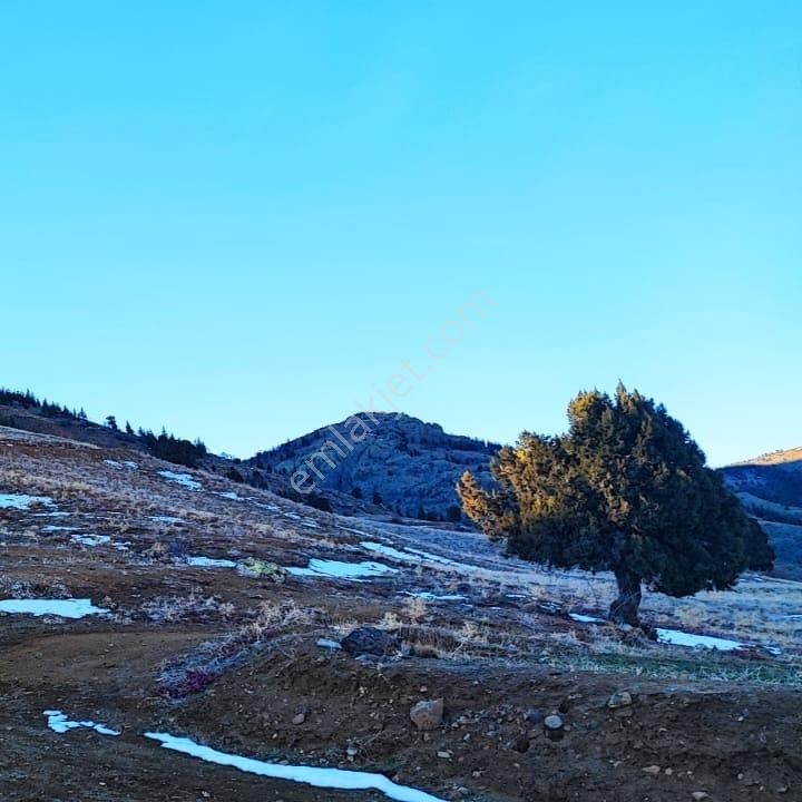 Kar Emlaktan Kamışlı Yaylasında 600 M2 Satılık Arsa - Görsel 20