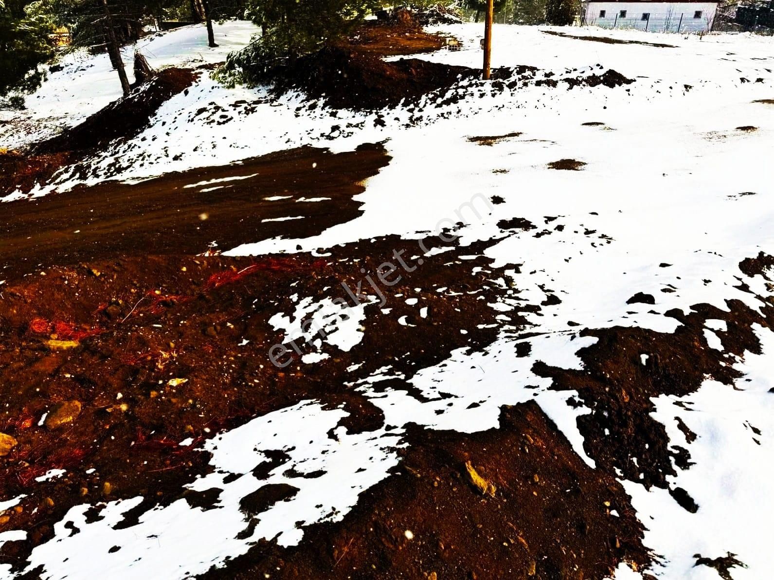Kar Emlaktan Alpu Yaylasında 485 M2 Satılık Arsa - Görsel 24