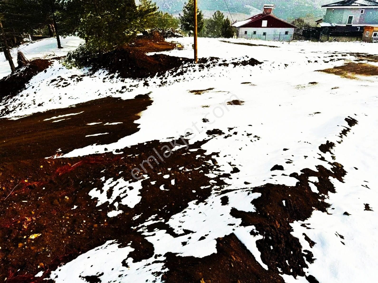 Kar Emlaktan Alpu Yaylasında 485 M2 Satılık Arsa - Görsel 11