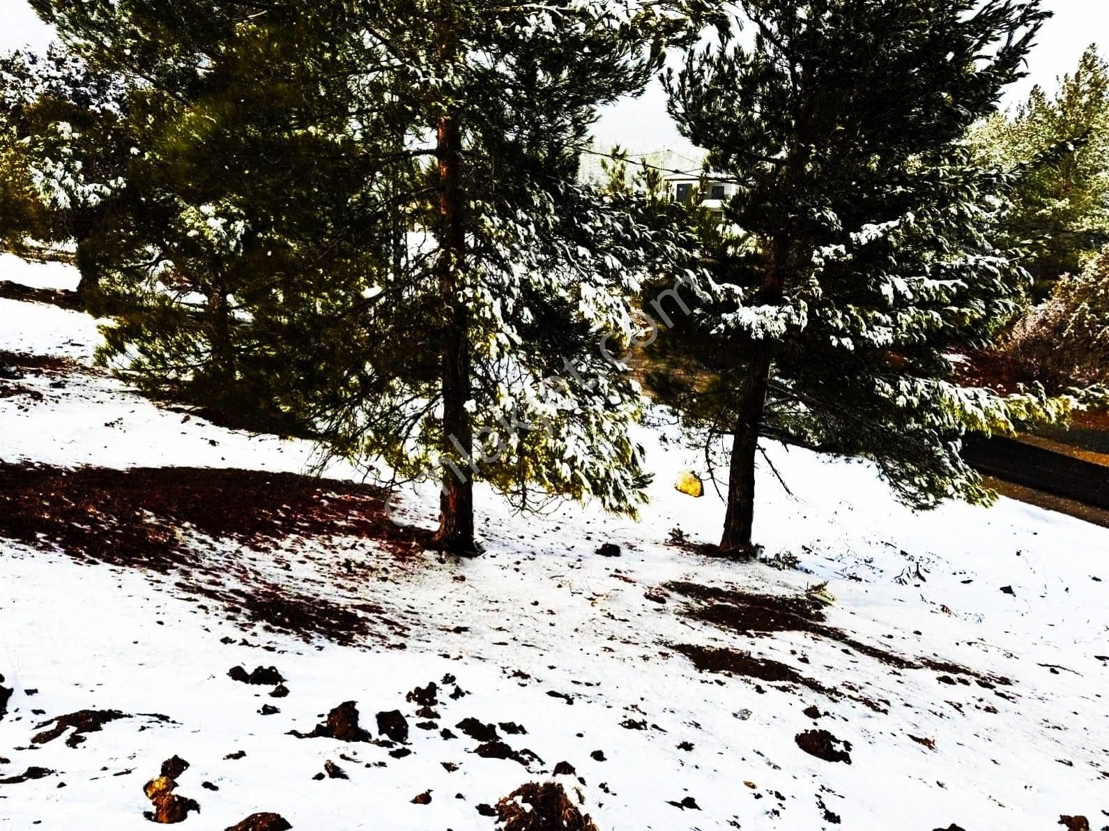 Kar Emlaktan Alpu Yaylasında 485 M2 Satılık Arsa - Görsel 26