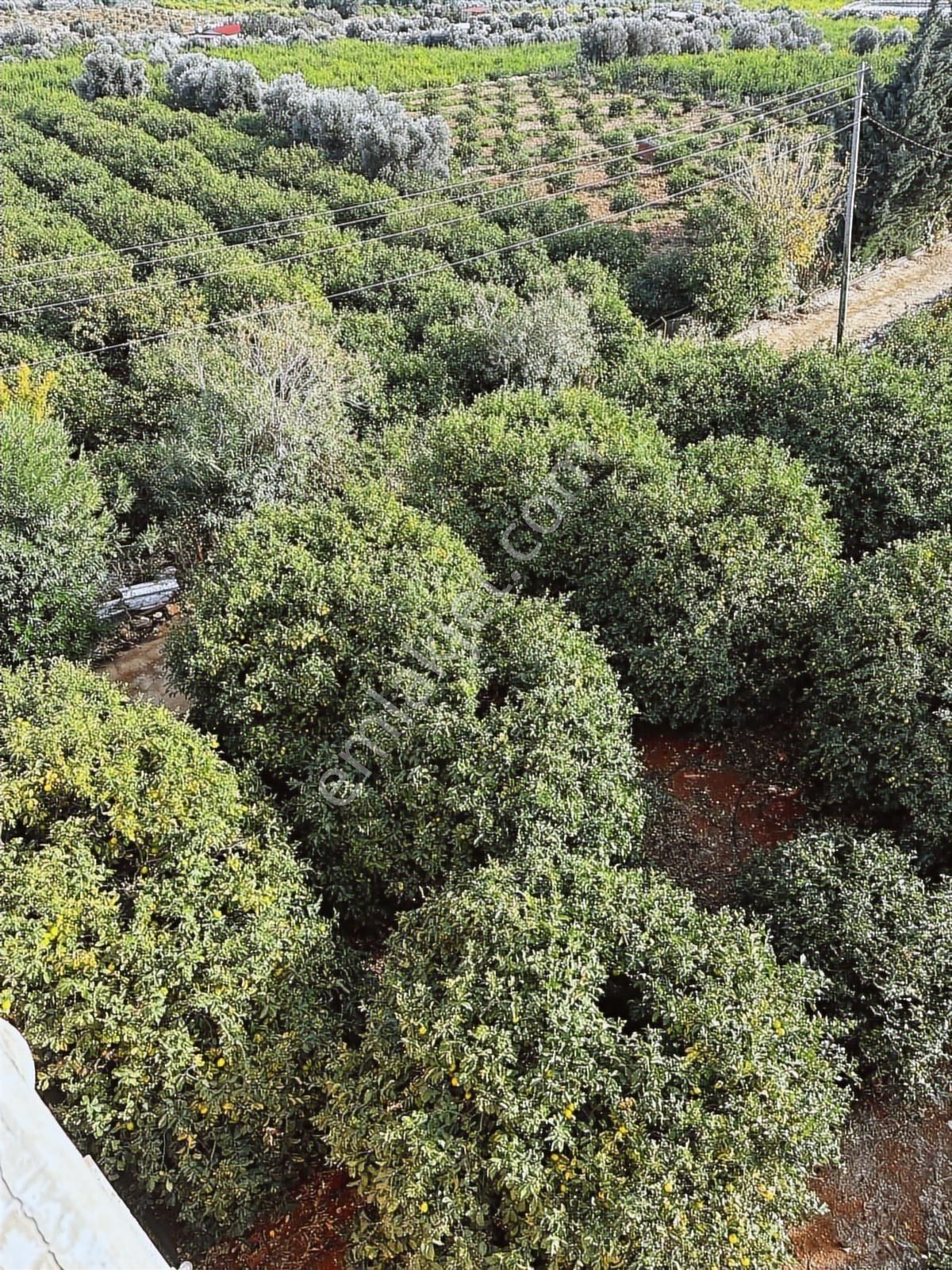 Erdemli Yemişkumunda 27 Dönüm Villa İmarlı Yatırımlık Arsa - Görsel 17