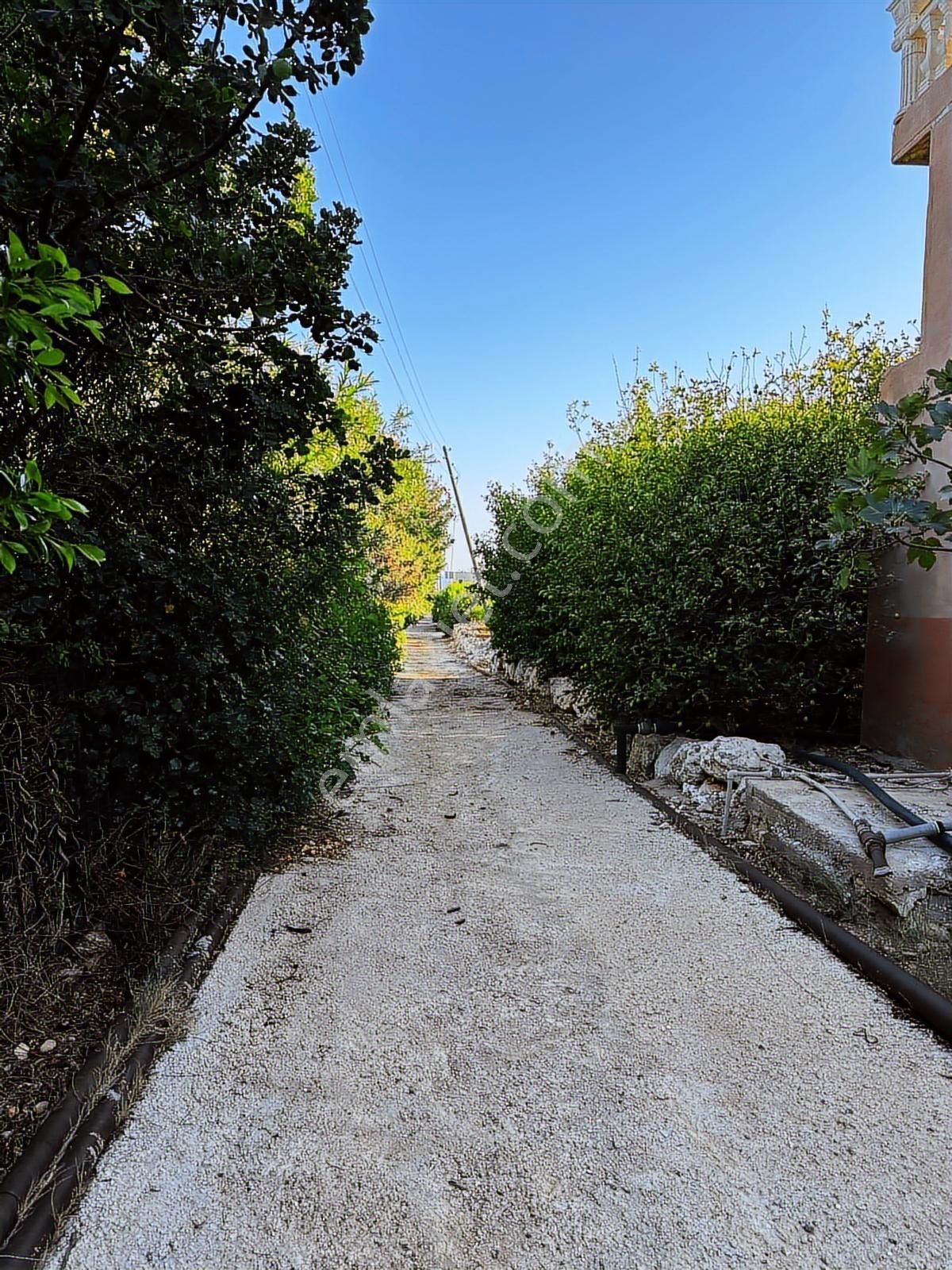 Erdemli Yemişkumunda 27 Dönüm Villa İmarlı Yatırımlık Arsa - Görsel 12