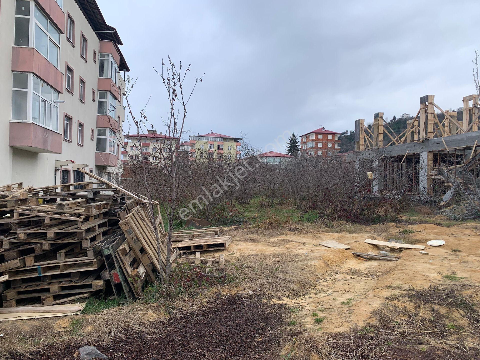 Doğuş Gayrimenkul Arsin Yeşilce De Satılık Konut İmarlı Arsa