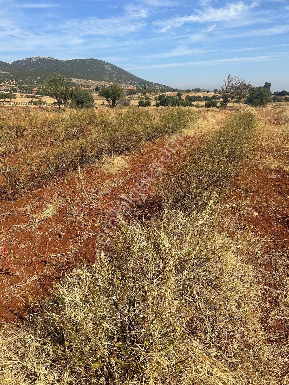 Senir'de Fırsat Yatırımlık Arsa 770 M2 Satılık Fırsat Bağ - Görsel 4