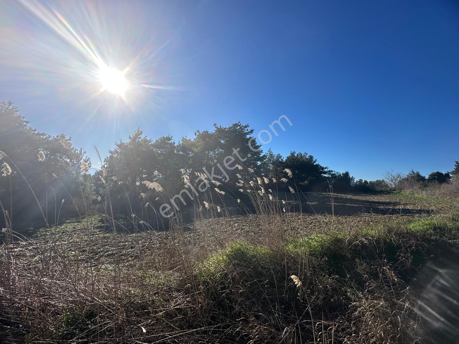 Gelibolu Burhanlı'da Kaçırılmayacak Arazi Fırsatı!-acil Satılık. - Görsel 9