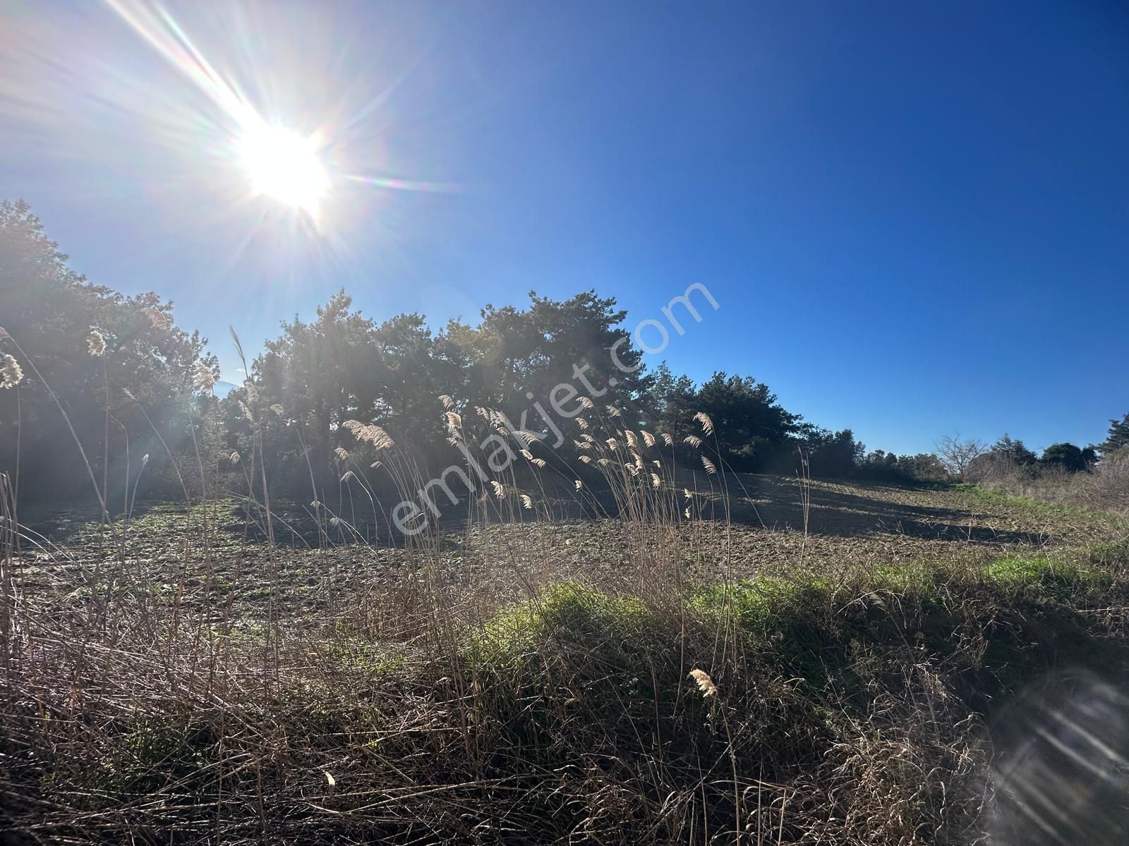 Gelibolu Burhanlı'da Kaçırılmayacak Arazi Fırsatı!-acil Satılık. - Görsel 3